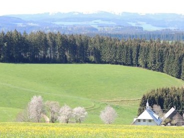 zur Tourenbeschreibung