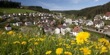 Ortsansicht Ortsansicht