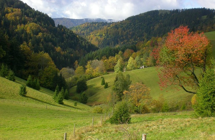 Lehmannsgrund im Herbst