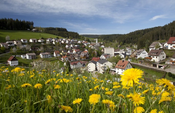 Gütenbach von der Breiteck aus